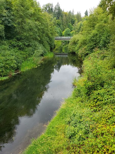 Peters Creek Retirement Center business image in Redmond, WA