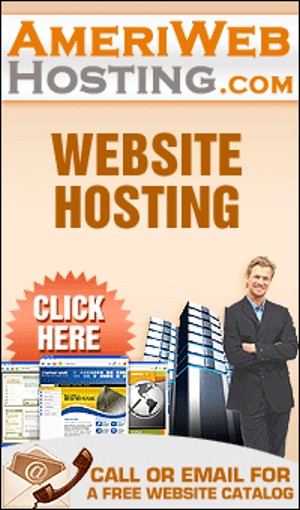 AmeriWeb Hosting business image in PLAINFIELD, IL
